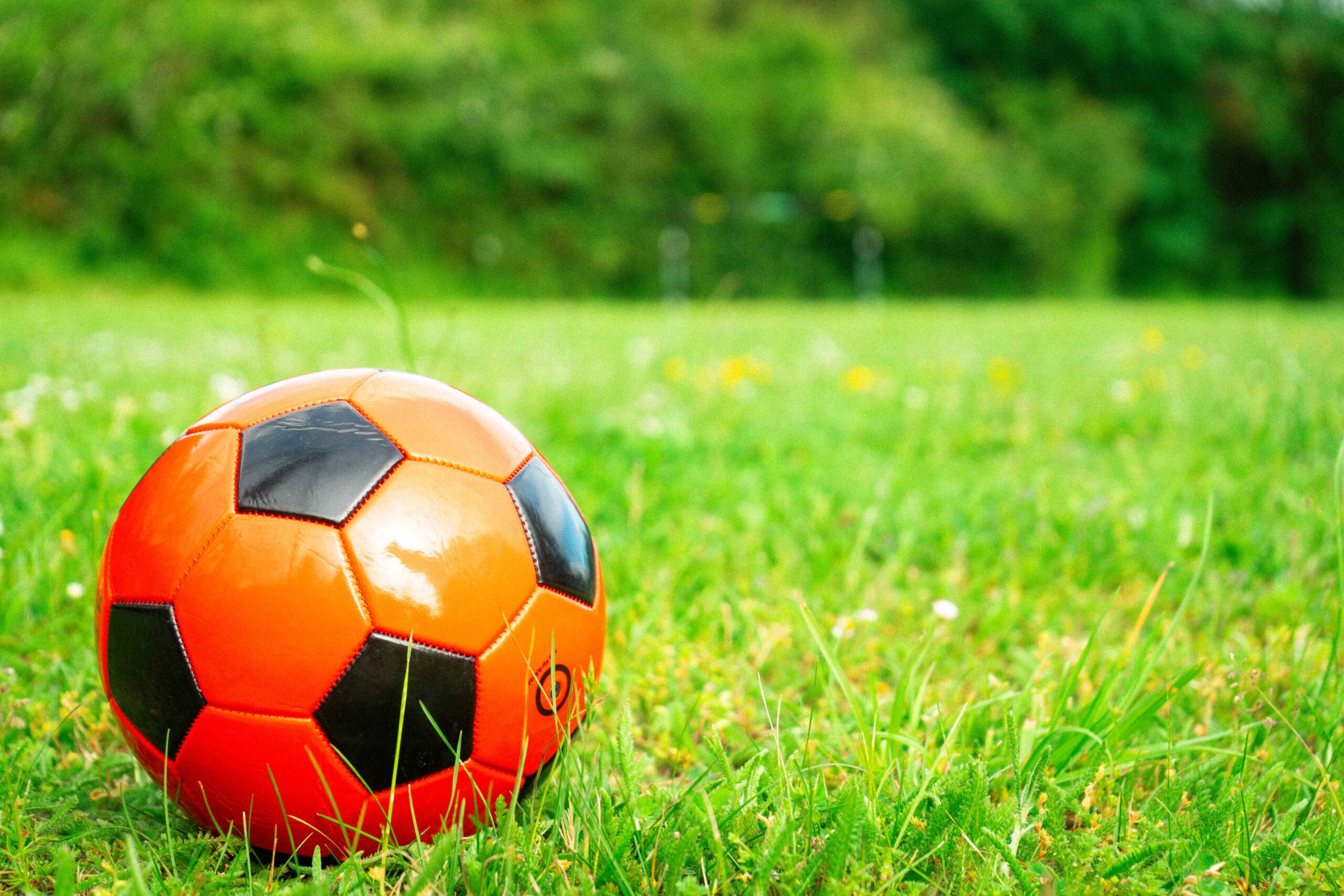 Ballon de foot dans les jolies plaines