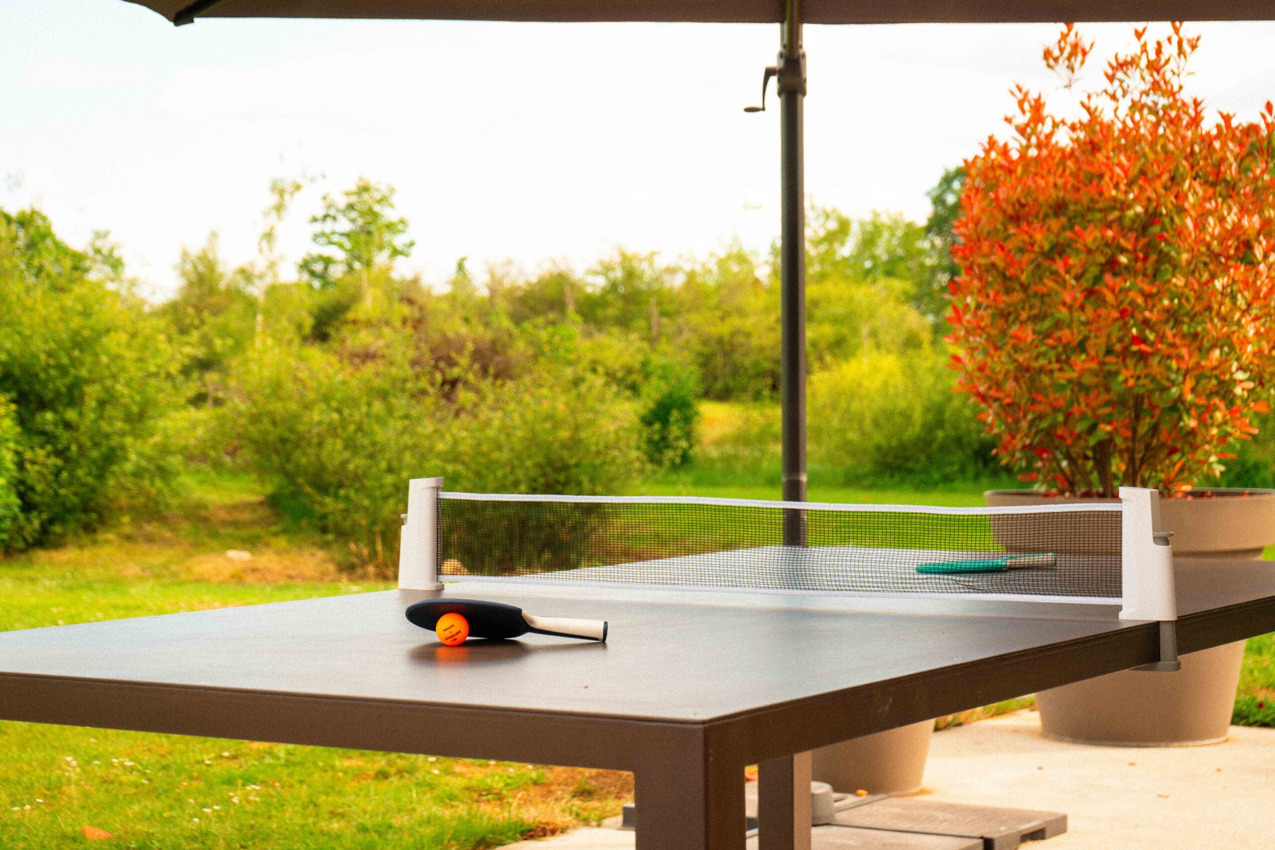 table-ping-pong
