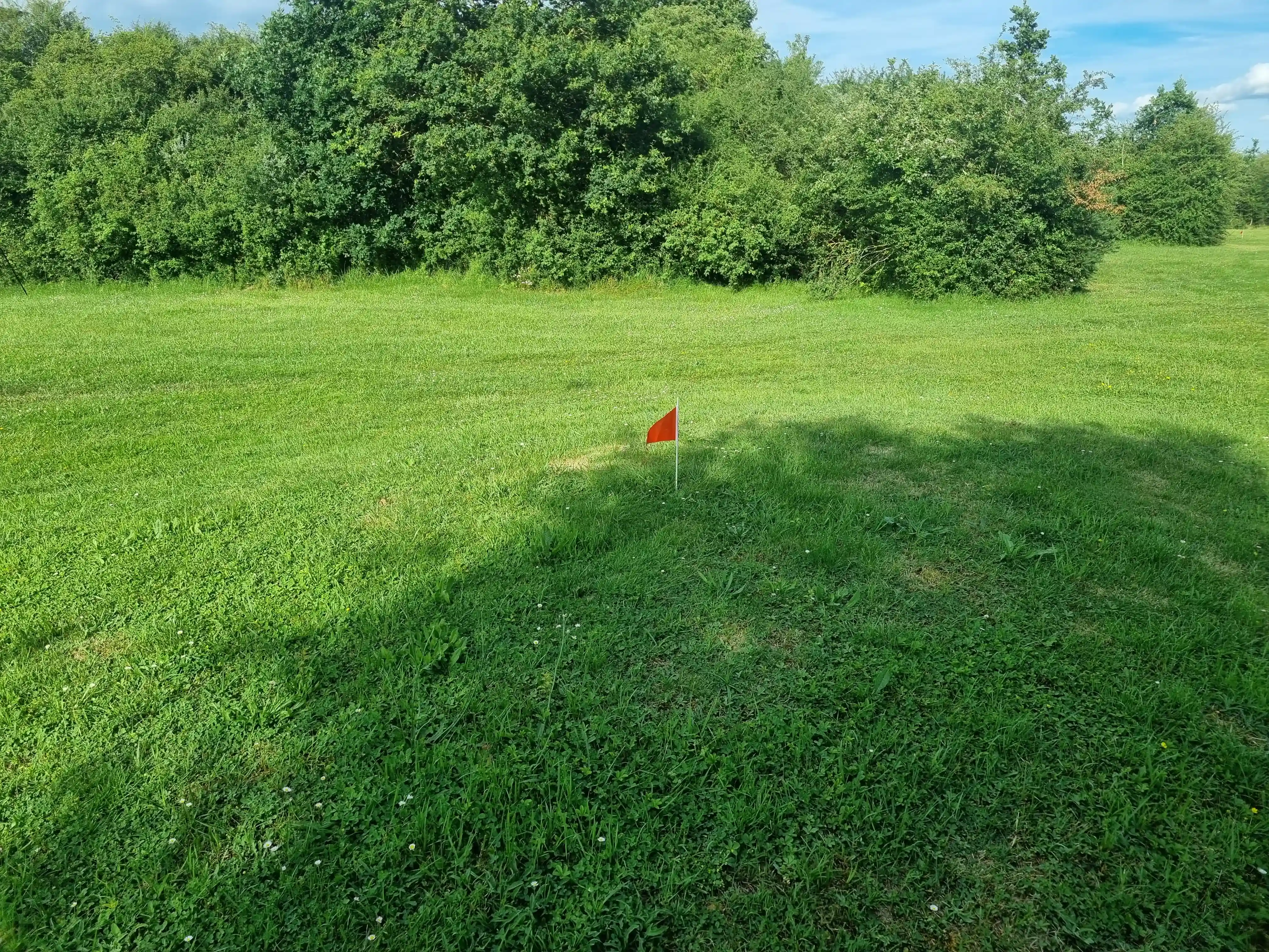 drapeau-de-golf-dans-le-terrain-du-domaine